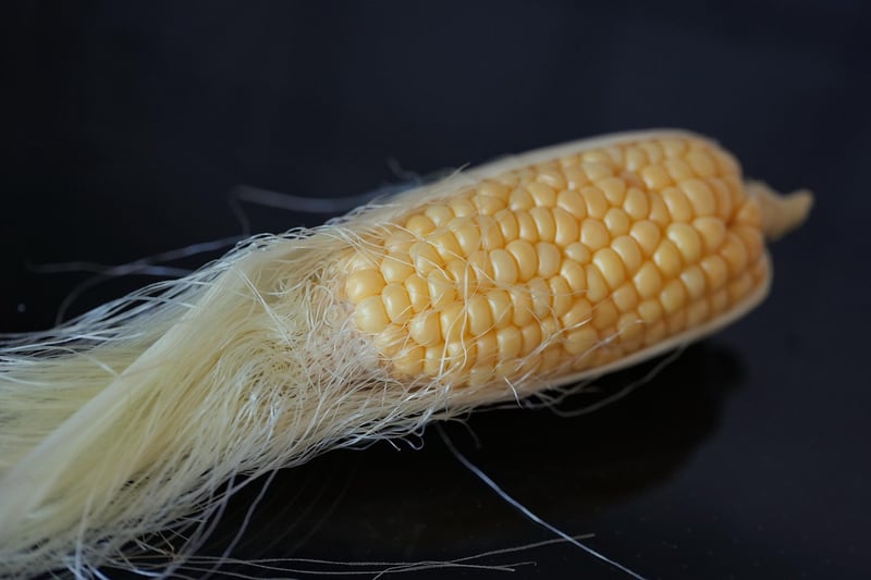 Elote